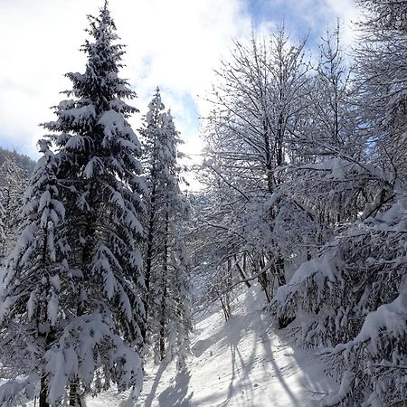 Ferienhaus Baerschwendi Lungern Dış mekan fotoğraf