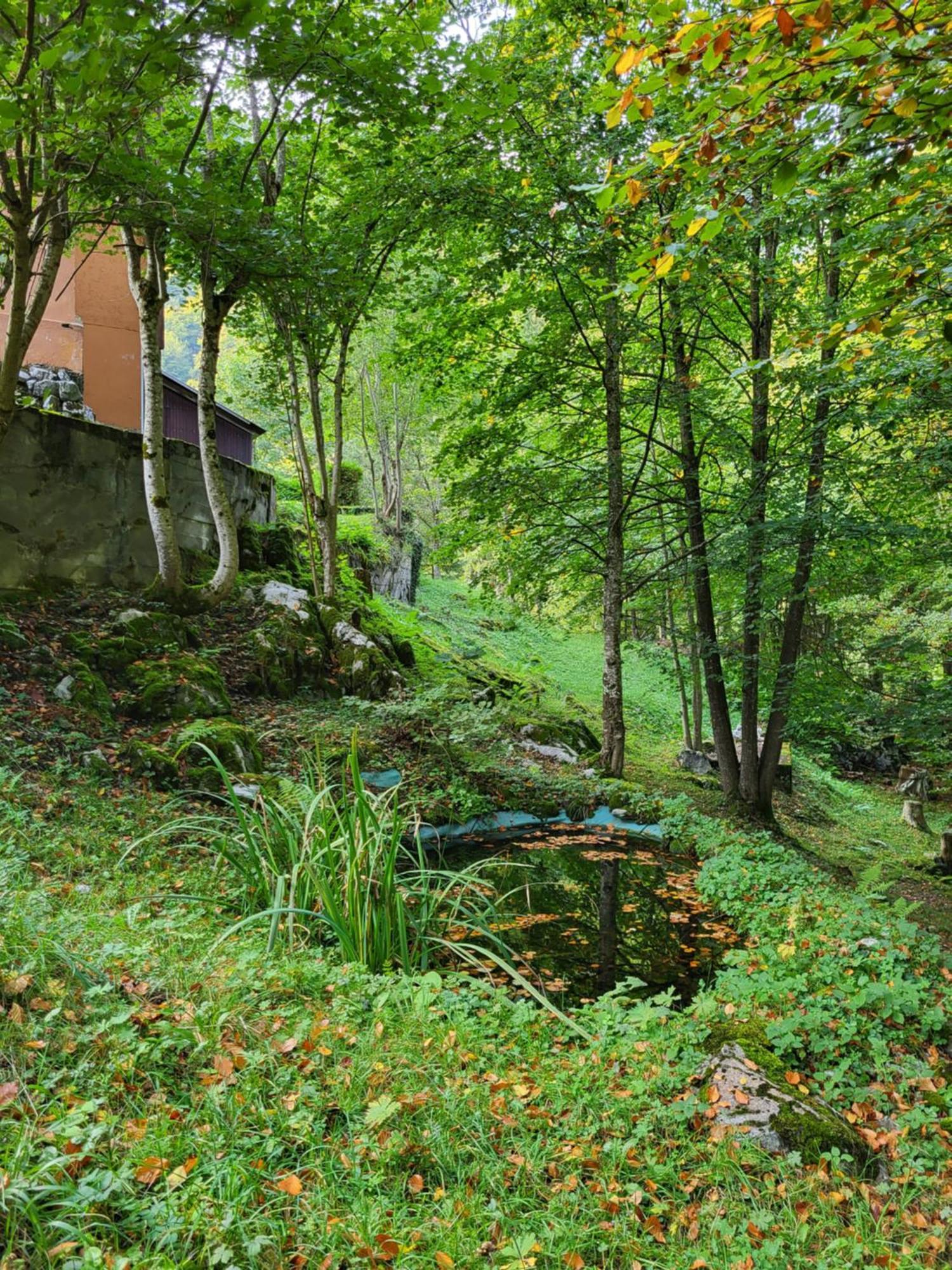 Ferienhaus Baerschwendi Lungern Dış mekan fotoğraf