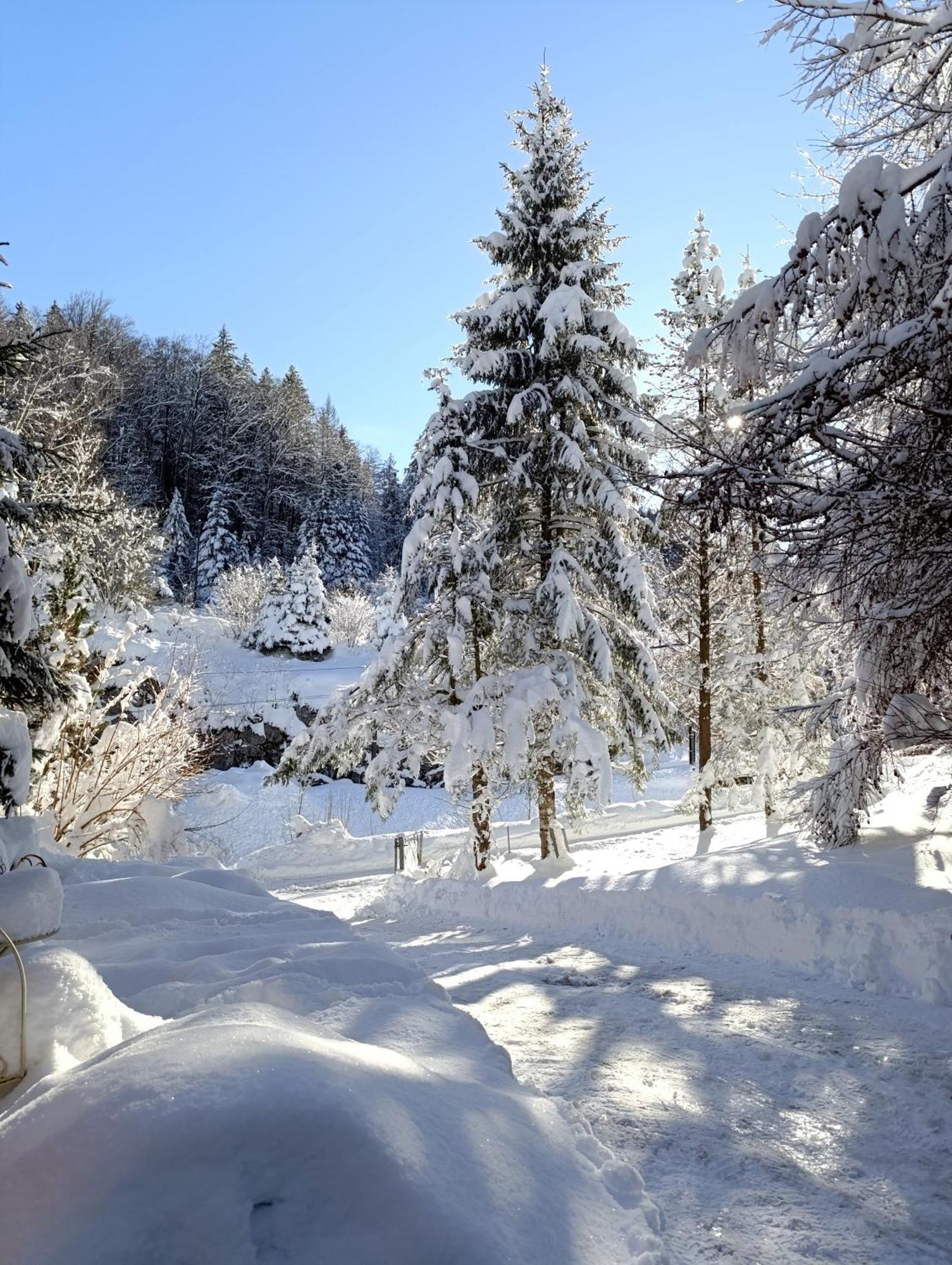 Ferienhaus Baerschwendi Lungern Dış mekan fotoğraf